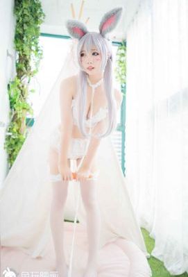 哈小浪免费动画片_DVD完整版观看